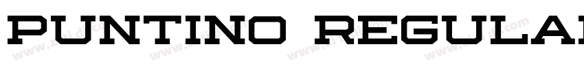 Puntino Regular字体转换